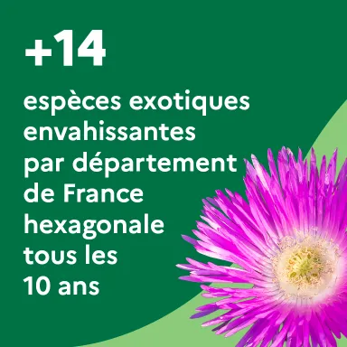 +14 espèces exotiques envahissantes par département de France hexagonale tous les 10 ans
