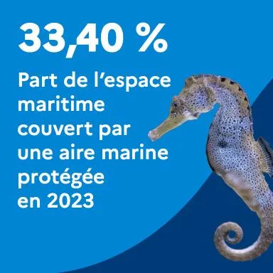33,40 % : Part de l'espace maritime couvert par une aire marine protégée en 2023