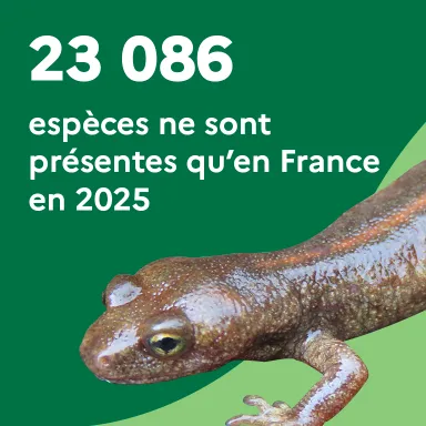 23 086 espèces ne sont présentes qu'en France en 2025
