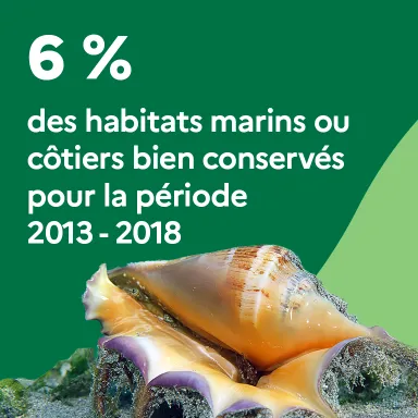 6 % des habitats marins ou côtiers bien conservés pour la période 2013-2018