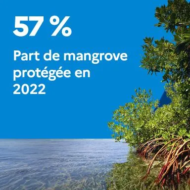 57 % : Part de la surface de mangroves protégée en 2022