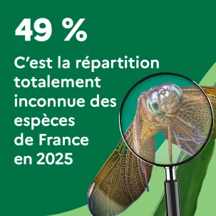 49 %. C'est la répartition totalement inconnue des espèces de France en 2025