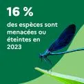 16 % des espèces sont menacées ou éteintes en 2023