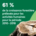 61 % de la croissance forestière prélevée pour les activités humaines sur la période 2010-2018