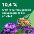 10,4 %. C'est la surface agricole occupée par le bio en 2023