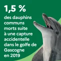 1,5 % des dauphins communs morts suite à une capture accidentelle dans le golfe de Gascogne en 2019