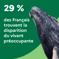 29 % des Français trouvent la disparition du vivant préoccupante