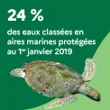 24 % des eaux classées en aires marines protégées au 1er janvier 2019