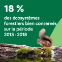 18 % des écosystèmes forestiers bien conservés sur la période 2013-2018