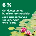 6 % des écosystèmes humides remarquables sont bien conservés sur la période 2013-2018