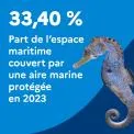 33,40 % : Part de l'espace maritime couvert par une aire marine protégée en 2023