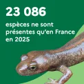 23 086 espèces ne sont présentes qu'en France en 2025