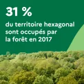 31 % du territoire hexagonal sont occupés par la forêt en 2017