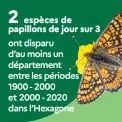 2 espèces de papillons de jour sur 3 ont disparu d'au moins un département entre les périodes 1900-2000 et 2000-2020 dans l'Hexagone