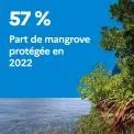 57 % : Part de la surface de mangroves protégée en 2022