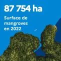 87 754 ha : Surface de mangroves en 2022
