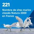 221 : Nombre de sites marins classés Natura 2000 en France en 2021