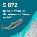 5 872 : Nombre d'espèces de poissons en France en 2022