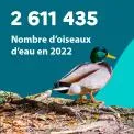 2 611 435 : Nombre d'oiseaux d'eau en 2022