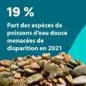19 % : Part des espèces de poissons d'eau douce menacées de disparition en 2021