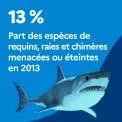13 % : Part des espèces de requins, raies et chimères menacées ou éteintes en 2013