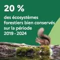 20 % des écosystèmes forestiers bien conservés sur la période 2019-2024