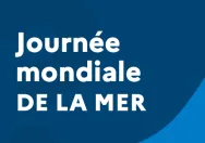 Quiz - Journée mondiale de la mer