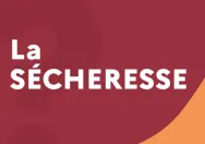 Quiz - La sècheresse