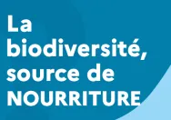 Quiz - La biodiversité, source de nourriture