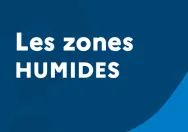 Quiz - Les zones humides