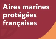 Vignette site internet Aires marines protégées françaises