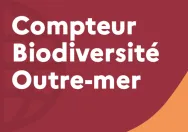 Vignette site internet Compteur Biodiversité Outre-mer