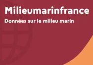 Vignette site internet Milieumarinfrance - Données sur le milieu marin
