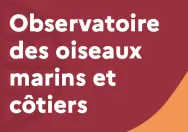 Vignette site internet Observatoire des oiseaux marins et côtiers