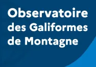 Vignette site internet Observatoire des Galiformes de Montagne
