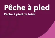 Vignette site internet Pêche à pied de loisir