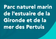 Vignette site internet Parc naturel marin de l'estuaire de la Gironde et de la mer des Pertuis
