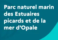 Vignette site internet Parc naturel marin des Estuaires picards et de la mer d'Opale 
