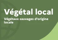 Vignette site internet Végétal Local 
