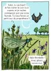 Discussion entre une chauve-souris et une libellule