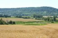 Photo d'une zone humide le long d'un cours d'eau, encadrée de champs de céréales