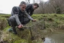 Photo d'agents de l'OFB relevant une nasse de ranaculteur