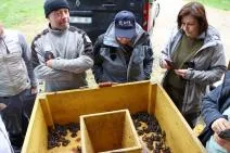 Photo de personnels de l'OFB devant un bac en bois contenant des grenouilles rousses