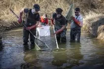 Photo : étudiants pratiquant une pêche électrique dans un cours d'eau