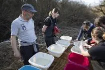 Photo : Atelier de biométrie lors d'une pêche électrique. 