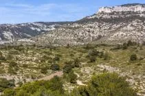 Photo de paysage où le calcaire blanc domine sous une végétation clairsemée, avec les falaises d'un causse en arrière plan