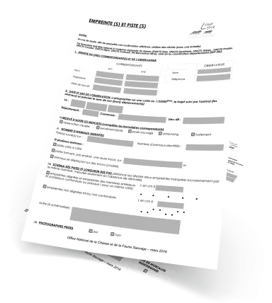 image de décoration (vignette stylisée d'une fiche de relevé d'indice de présence de Lynx pour le réseau Loup-Lynx))