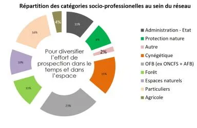 Graphique représentant la répartition des catégories socio-professionnelles au sein du réseau Loup lynx