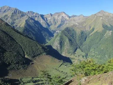photo des montagnes avec prairies d'altitude et forêts