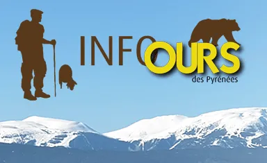 image de décoration (logo du site Info Ours des Pyrénées)